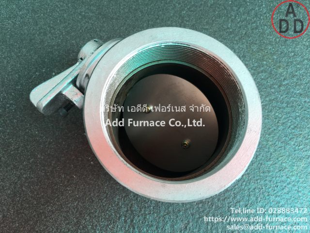 Butterfly Valve TD-80 (3)